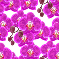 Seamless pattern with pink orchids on white background