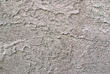 Photo of background. Gray plaster on the wall. Decorative texture. Illustration.
