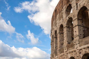 Mewa latająca wokół ogromnego Coloseum w Rzymie na tle pochmurnego nieba - obrazy, fototapety, plakaty