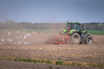 Obraz premium Unidentified farmer plows with a tractor across a sandy dry piece of land. Birds fly around and behind the tractor