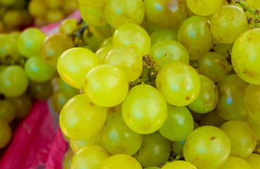 Cacho fresco de uvas verdes