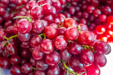 Cacho fresco de uvas roxas