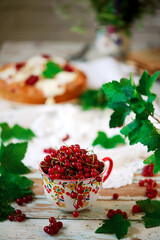Fresh,organic red currant in ceramic cup.
