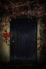 House facade with wooden blue door covered with wild berries and red vines.