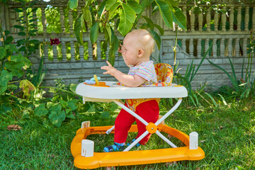 the baby learns to walk in a walker,on the grass the baby walks in a walker under a tree