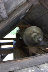 pigeon nest on a cannon in a fortress