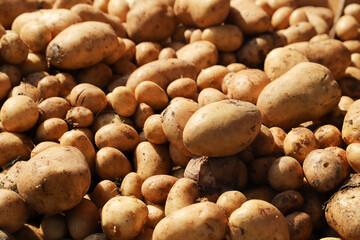 close up of potatoes on sale at the market