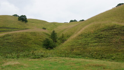 landscape in the mountains