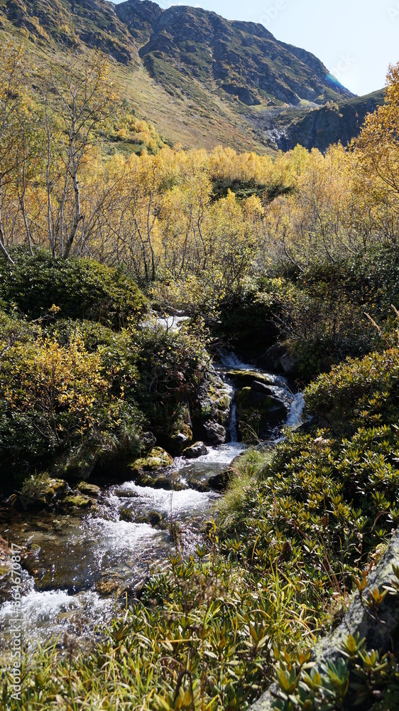 Wall mural autumn in the mountains