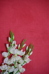 White flowers on red background with empty space for text, romantic date invitation sweet wish concept 