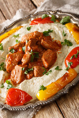 Alinazik or Ali Nazik kebab is a delicious marriage of char-grilled smoked eggplant puree mixed with yoghurt and topped with tender lamb stew closeup. vertical