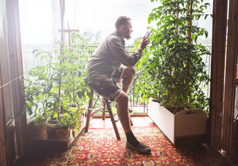 A man is gardening in a city apartment, growing tomatoes and arugula near a window. A gardener photographs plants with a smartphone.