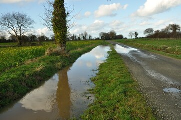 A flooded country lane in Brittany