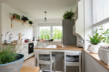 Rural kitchen and dining room in white color with window and wooden furniture. Dining table and chairs in scandinavian interior with plants and stylish decor.