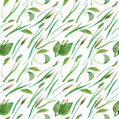 Wild grass seamless background