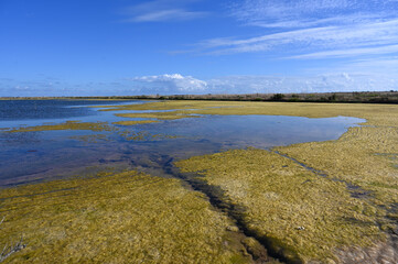 Marais salants dans une réserve naturelle 