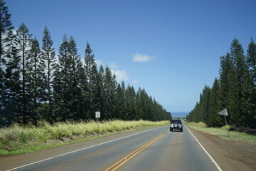 Fototapeta premium hawaii