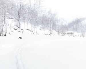 Norwegian Winter Landscapes