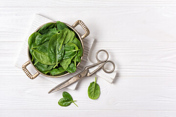 Fresh spinach leaves as ingredient for helthy food