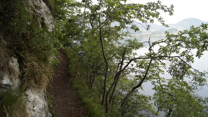 Nature in Austria / Traunsee