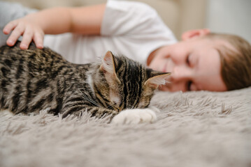 Little boy stroking a cat in bed