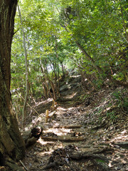 登山道の風景（金華山）