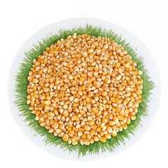 Popcorn, golden grains on white background
