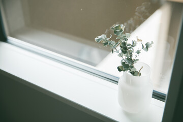 緑の植物を白い花瓶で窓辺に飾る