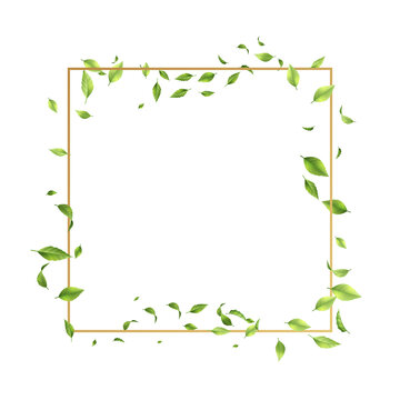 Golden frame with flying leaves