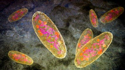 Plague bacterium Yersinia pestis