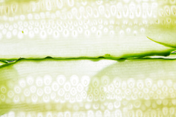 Sliced green cucumber texture on transparent glass background. Vegan vegetable pattern. Top view,...
