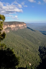 Fototapeta na wymiar The landscape view of the cliffs and forest in the Blue Mountains, Australia