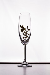Decorative plant into glassware champagne glass cup. Isolated on white background.