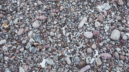 Photo of small stone in beach