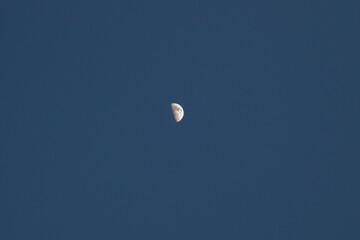 moon in the sky