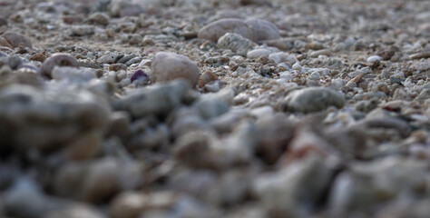 Photo of small stone in beach