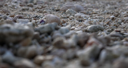 Photo of small stone in beach