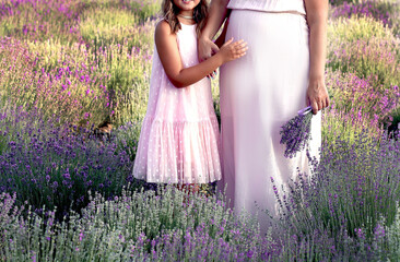 Pregnant mother with daughter are walking in a lavender field on a sunny day. Summer. Provence. A family. Travel and vacation concept.