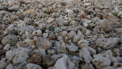 Photo of small stone in beach