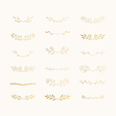 Collection of hand drawn botanical dividers and vines for wedding design. Vector isolated.