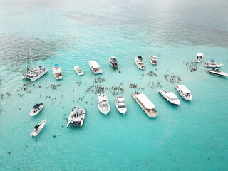 Cayman Islands Sandbar - Stingray City