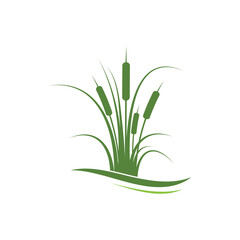 Reeds icon vector design template