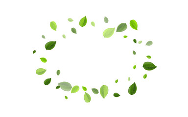 Swamp Greens Organic Vector Border. Flying Leaves 
