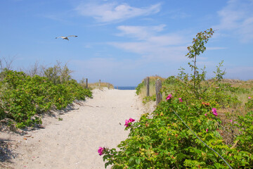 Way to sand beach of the baltic sea island Poel with a warning shield  