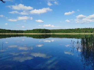 Piękny widok Polskiego jeziora  - obrazy, fototapety, plakaty
