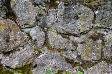 Texture natural stone wall overgrown with moss. Large and small stones form the wall.