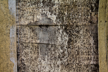 Texture of the weathered wooden board. With very massive traces of age.