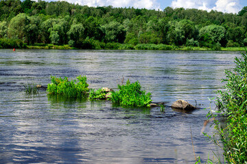 river roll with bushes