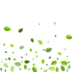 Fototapeta premium Swamp Leaves Motion Vector Concept. Swirl Foliage 