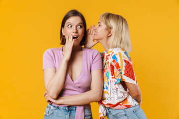 Portrait of two cheerful lovely girlfriends standing